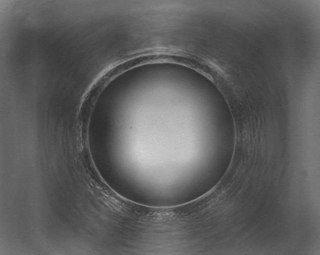 X0000058811310200510031336