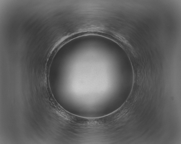 X0000058811316200510031336