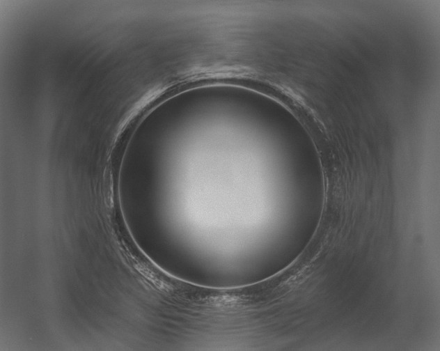 X0000058811317200510031336