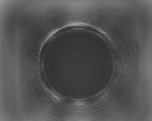 X0000058811319200510031336