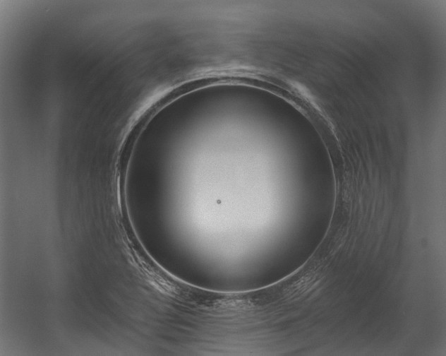 X0000058811320200510031336