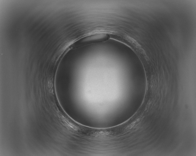 X0000058811321200510031336