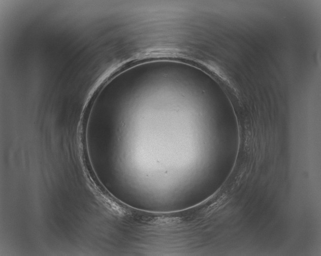 X0000058811325200510031336