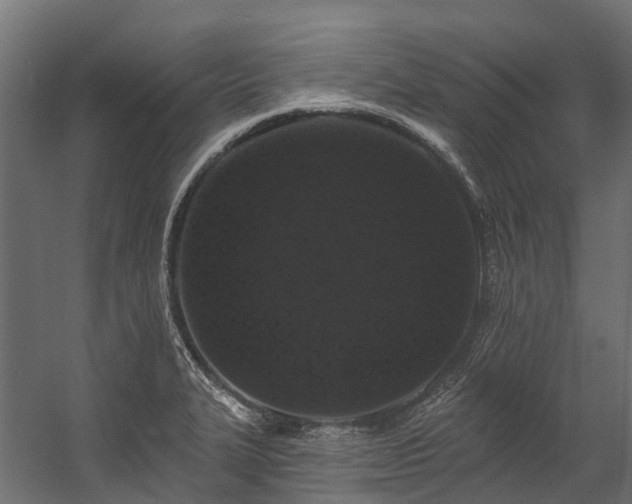 X0000058811327200510031336