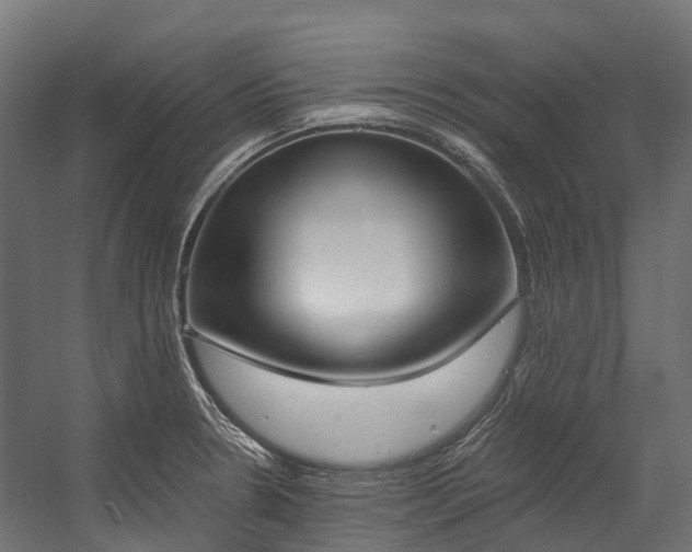 X0000058811330200510031336