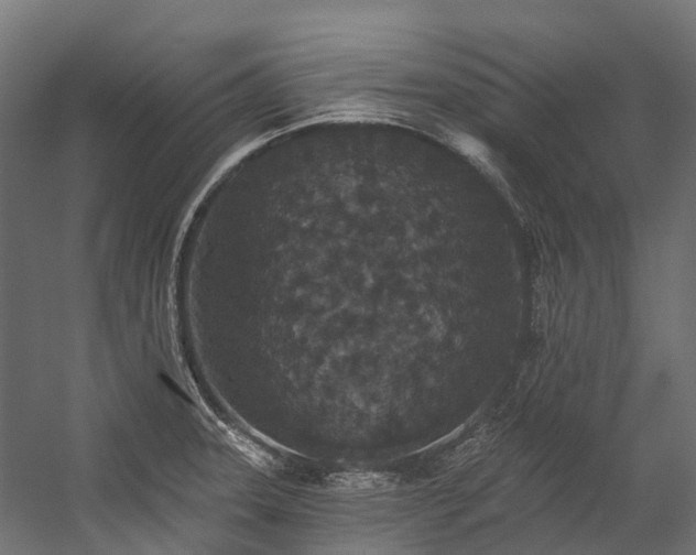 X0000058811331200510031336