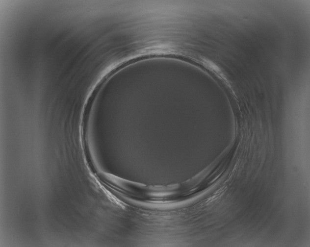 X0000058811334200510031336