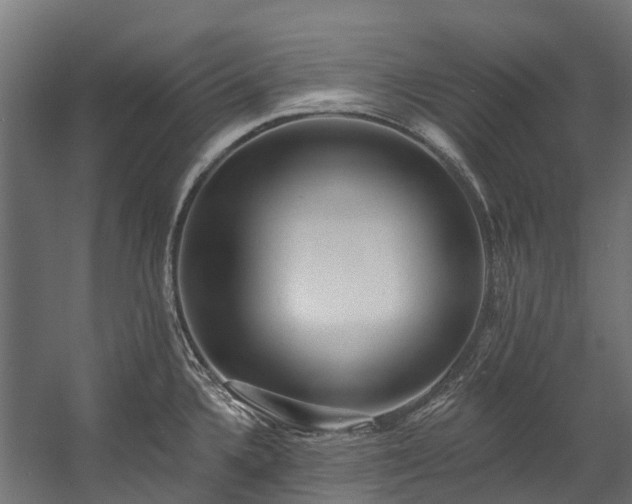 X0000058811336200510031336