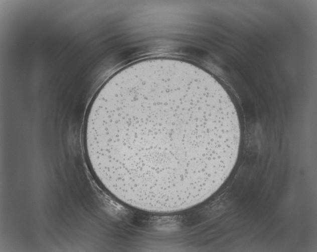 X0000058811338200510031336