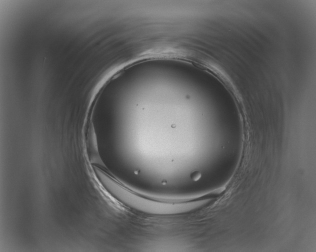 X0000058811344200510031337