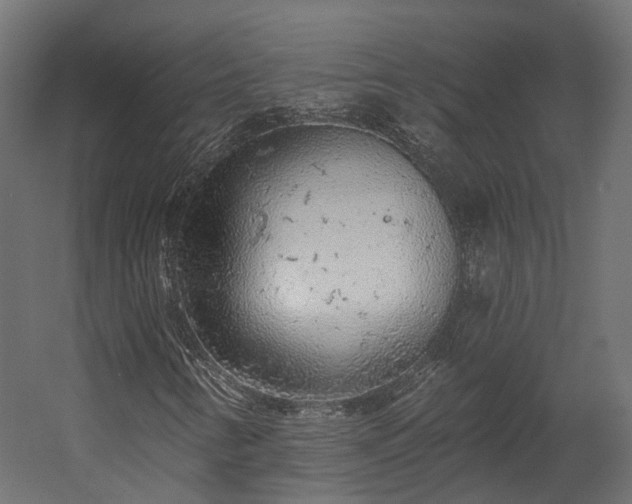 X0000058811346200510031336