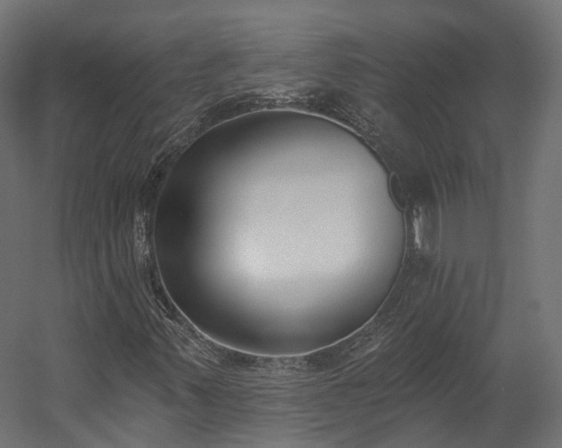 X0000058811347200510031336