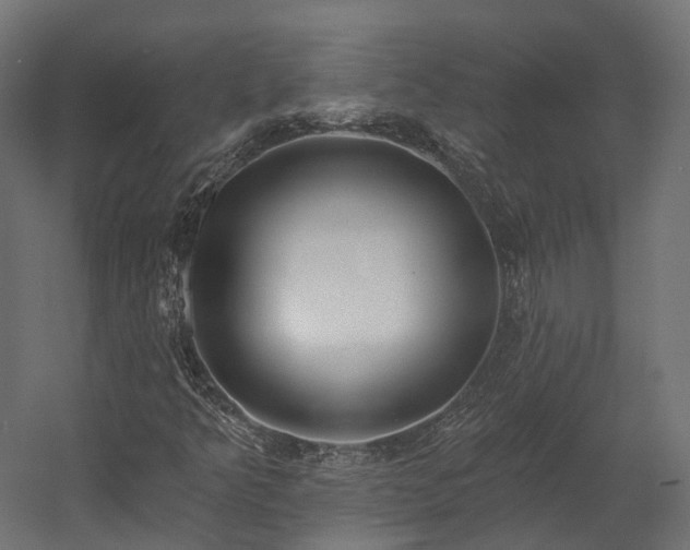 X0000058811349200510031336