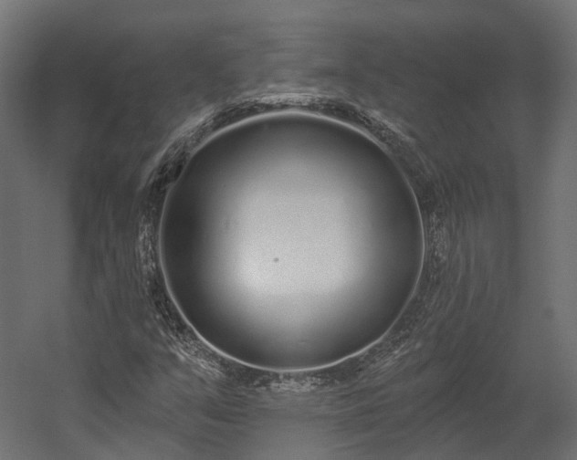 X0000058811351200510031336