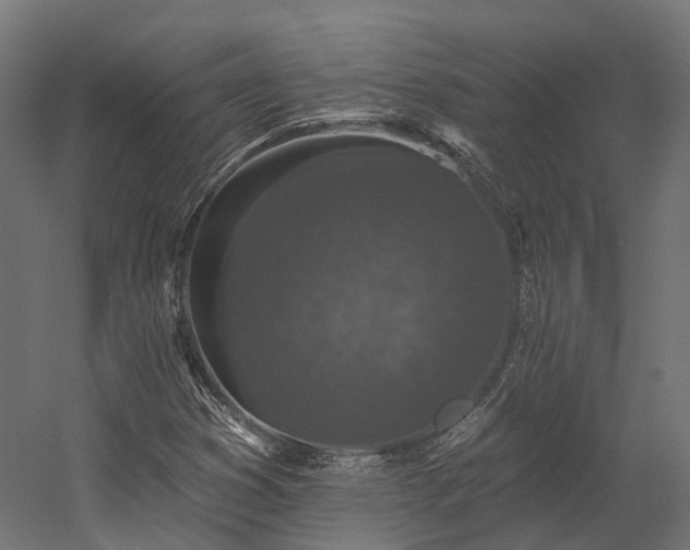 X0000058811353200510031336