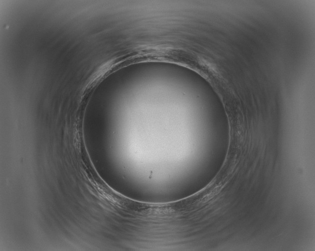 X0000058811354200510031336