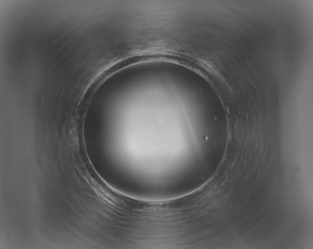 X0000058811356200510031336