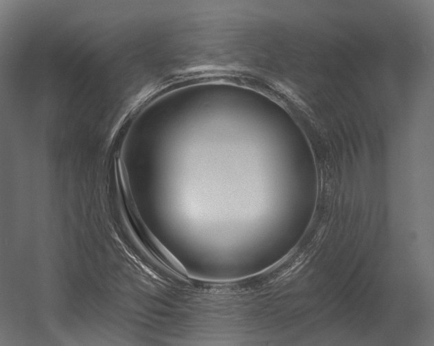 X0000058811357200510031336