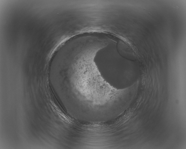 X0000058811359200510031336