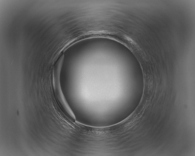 X0000058811361200510031335