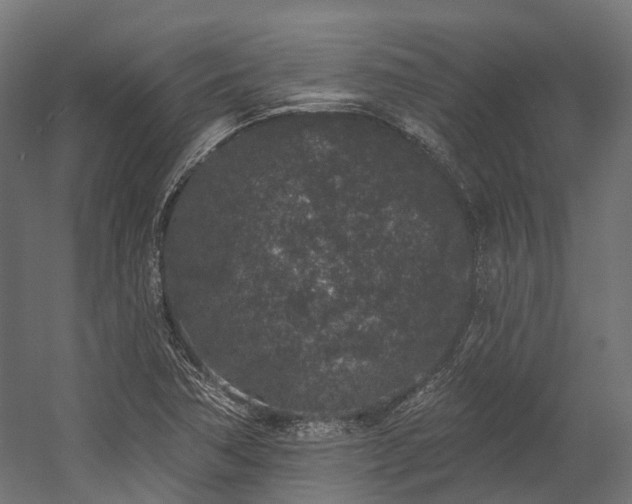 X0000058811362200510031335