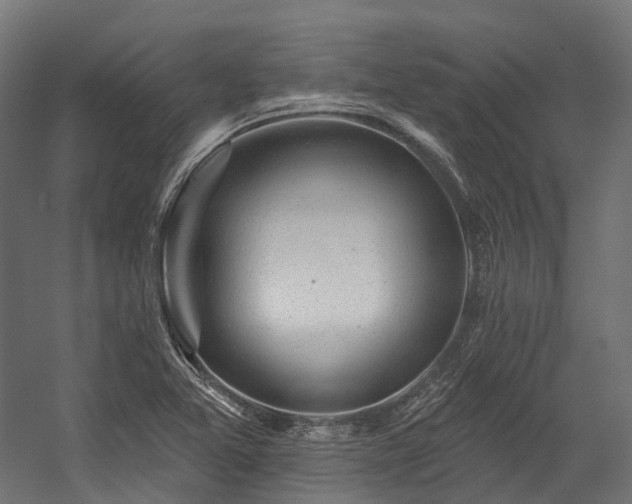 X0000058811365200510031335