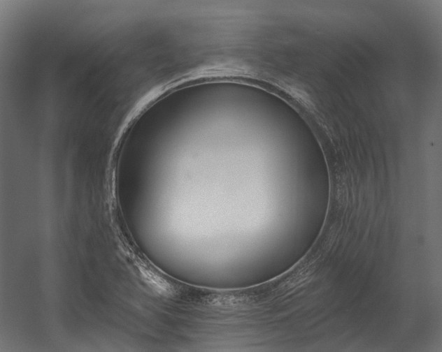 X0000058811366200510031335