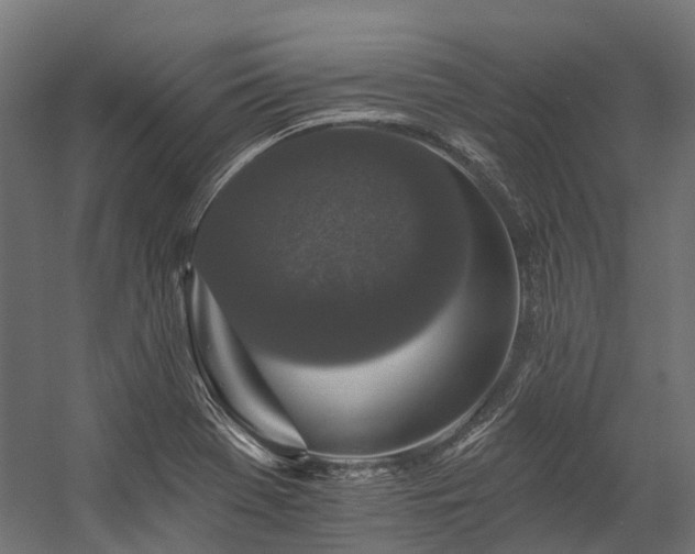 X0000058811369200510031335