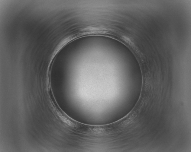 X0000058811370200510031335