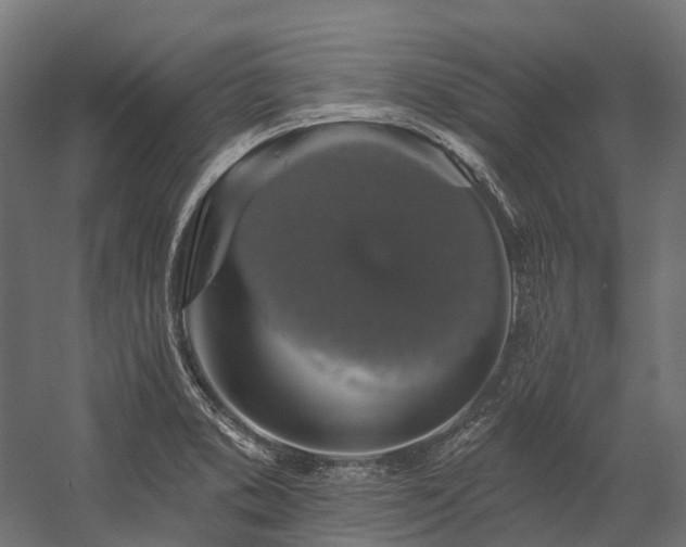 X0000058811373200510031335