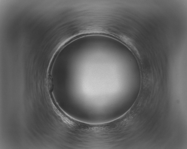 X0000058811380200510031335