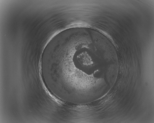 X0000058811383200510031335