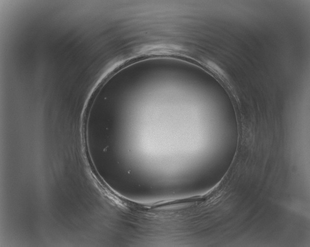 X0000058811384200510031335