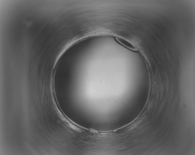 X0000058811390200510031335