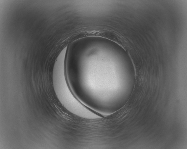 X0000058811394200510031334