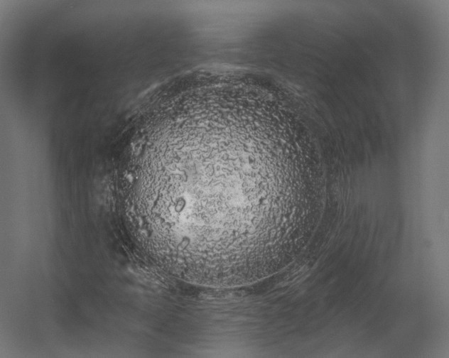 X0000058811397200510031334