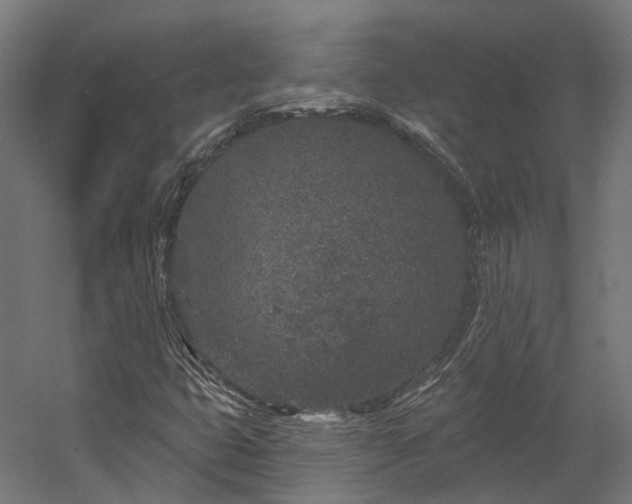 X0000058811399200510031334