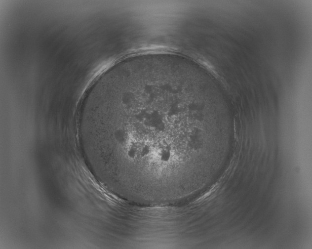 X0000058811405200510031334