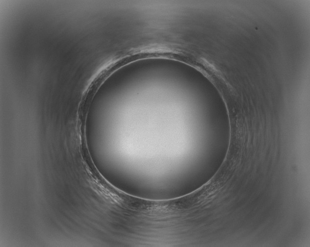 X0000058811408200510031334