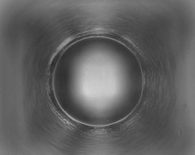 X0000058811410200510031334