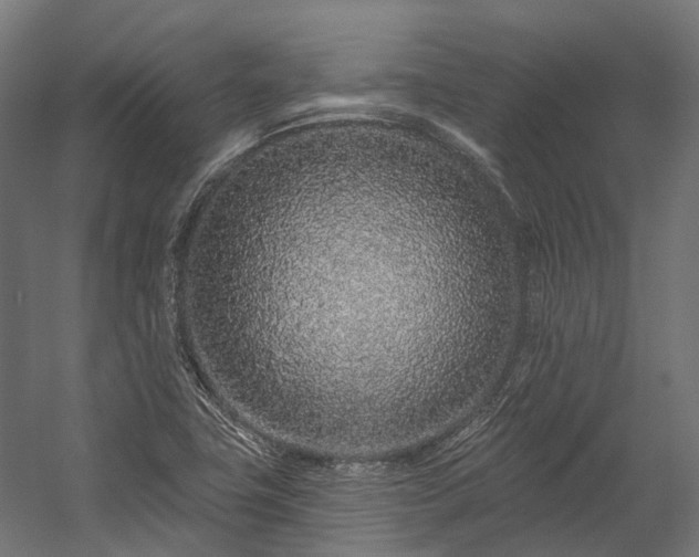 X0000058811411200510031334