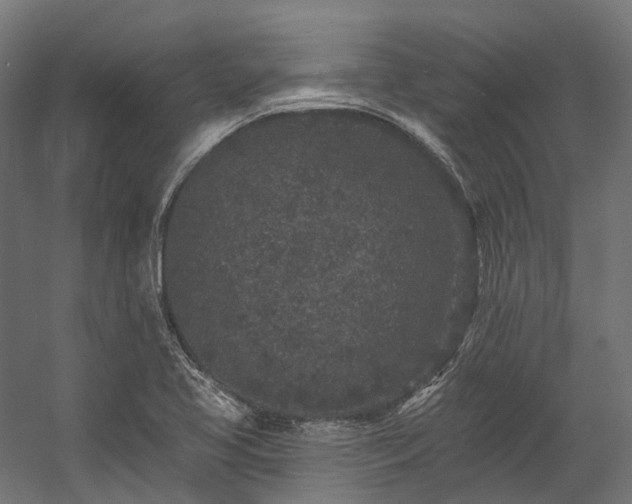 X0000058811413200510031334