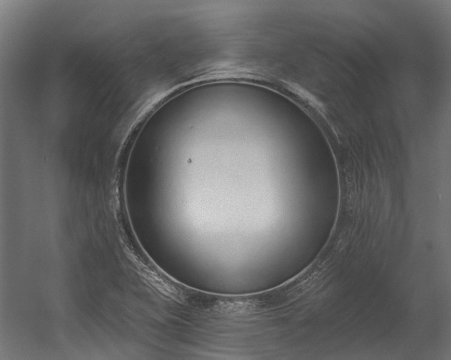 X0000058811415200510031334