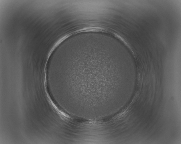 X0000058811418200510031335