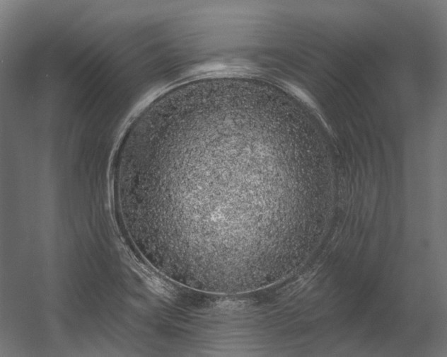 X0000058811419200510031335