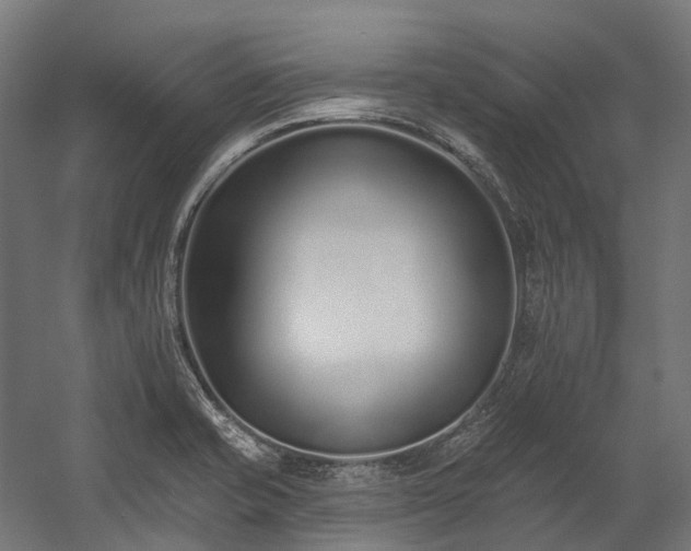 X0000058811421200510031335