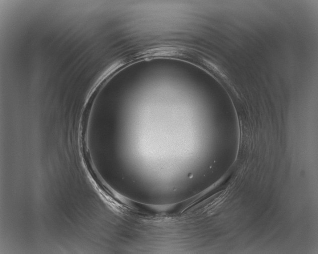 X0000058811426200510031335