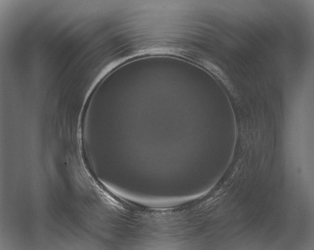 X0000058811428200510031335