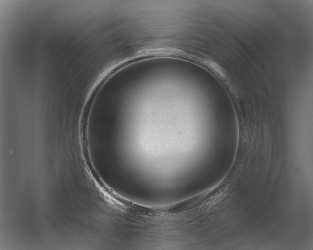 X0000058811430200510031335