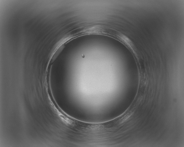 X0000058811434200510031335